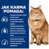 INABA CAT Twin Tuna with Chicken and Scallops in Broth – cat treat – 2x40g