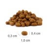 PLATINUM MeatCrisp Kitten Fish - dry cat food - 3kg PLATINUM MeatCrisp Kitten Fish - dry cat food - 3kg