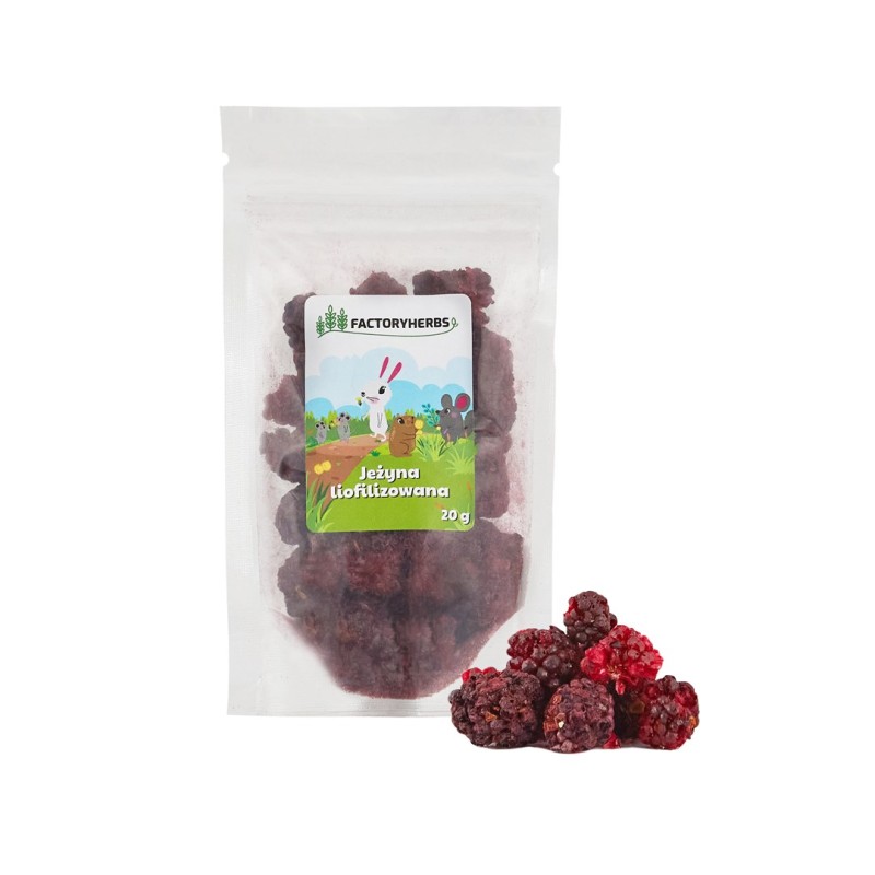 FACTORY HERBS Freeze-dried blackberry - treat for rodents and rabbits - 20g FACTORY HERBS Freeze-dried blackberry - treat for rodents and rabbits - 20g