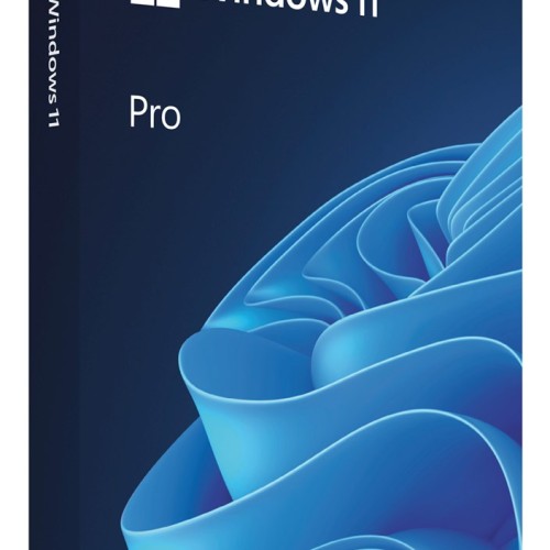 Microsoft Windows 11 Professional BOX USB PL Microsoft Windows 11 Professional BOX USB PL
