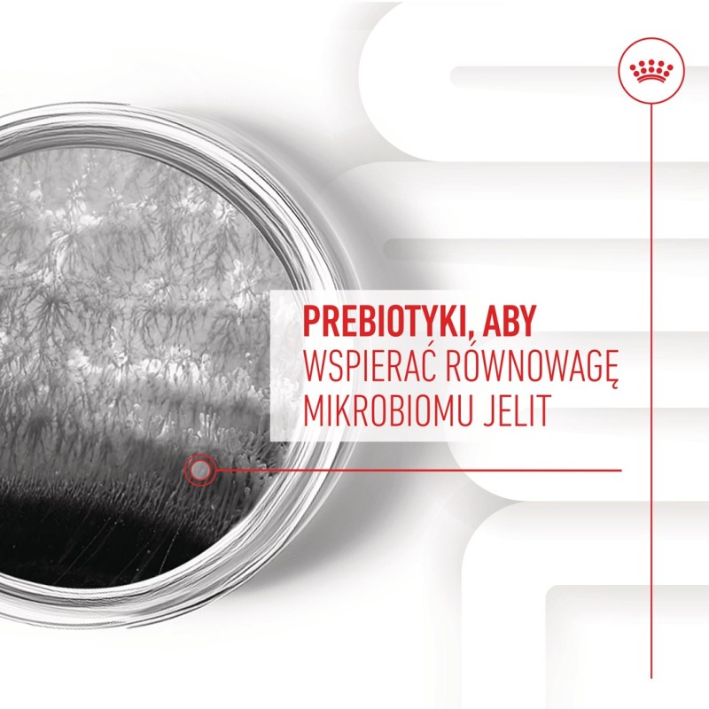 BULT Jelito cienkie wieprzowe dla psa 100g BULT Jelito cienkie wieprzowe dla psa 100g