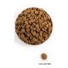 ACANA Adult Large Breed 11,4kg