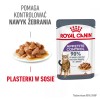 ROYAL CANIN Appetit Control pieces in sauce - wet cat food - 12 x 85g ROYAL CANIN Appetit Control pieces in sauce - wet cat food - 12 x 85g