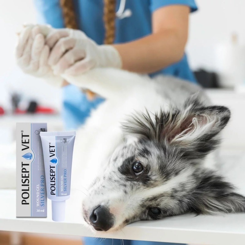 JM SANTE Polisept Vet Wound gel Silver Pro - gel dressing for dogs and cats – 30 ml JM SANTE Polisept Vet Wound gel Silver Pro - gel dressing for dogs and cats – 30 ml