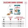 ROYAL CANIN Ageing 11+ Chunks in gravy - wet cat food - 12x85g