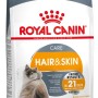 ROYAL CANIN Hair&Skin Care Adult - dry cat food - 400g