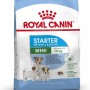 Royal Canin Mini Starter Mother & Babydog Adult Poultry 1 kg