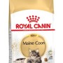 ROYAL CANIN FBN Maine Coon Adult dry cat food - 10kg