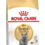 ROYAL CANIN FBN British Shorthair Adult dry cat food - 10 kg