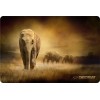 Esperanza EA133 mouse pad Multicolor Esperanza EA133 mouse pad Multicolor