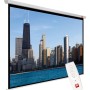 Avtek Video Electric 300P projection screen 4:3