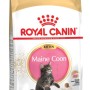 ROYAL CANIN Maine Coon Kitten- dry cat food - 4 kg