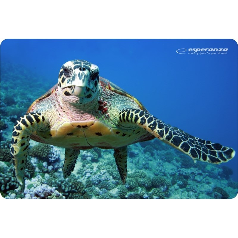 Esperanza EA133 mouse pad Multicolor Esperanza EA133 mouse pad Multicolor