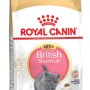 Royal Canin British Shorthair Kitten cats dry food 2 kg Poultry, Rice, Vegetable
