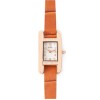 WOMAN WATCH FOLLI FOLLIE  WF13B064SPW (20MM)