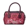 WOMAN HANDBAG  TWINSET 192TA7018 16X11X7CM