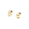 WOMEN EARRINGS TRUSSARDI TJAXA18 (1,5CM )