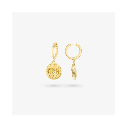 WOMEN EARRINGS RADIANT RY000047 (1,5CM )