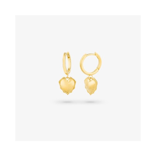 WOMEN EARRINGS RADIANT RY000056 (2,5CM )