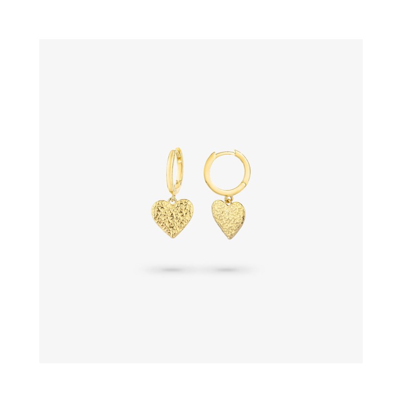 WOMEN EARRINGS RADIANT RY000107 (2CM )