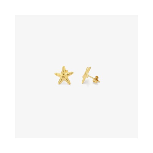 WOMEN EARRINGS RADIANT RY000135 (1CM )