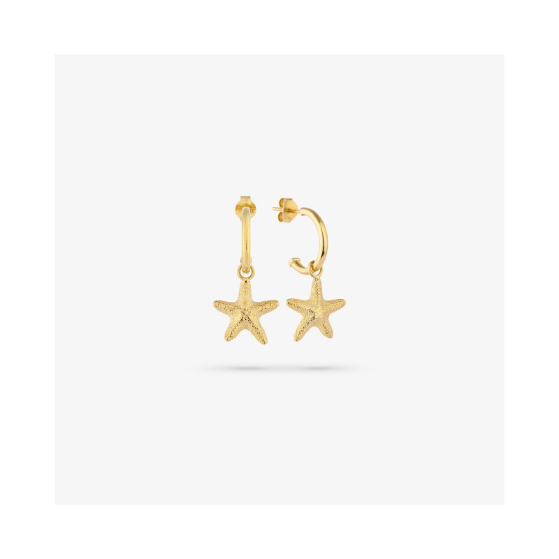 WOMEN EARRINGS RADIANT RY000137 (2CM )