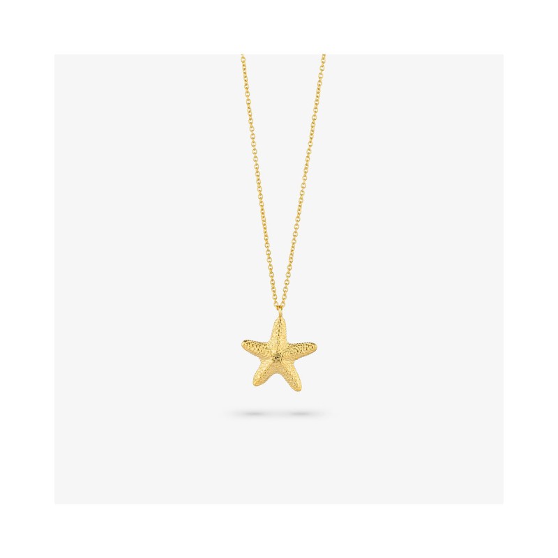 WOMEN NECKLACE RADIANT RY000140 (45CM )