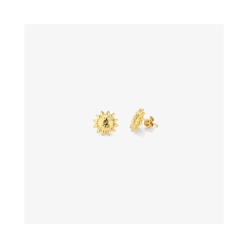 WOMEN EARRINGS RADIANT RY000153 (1CM )