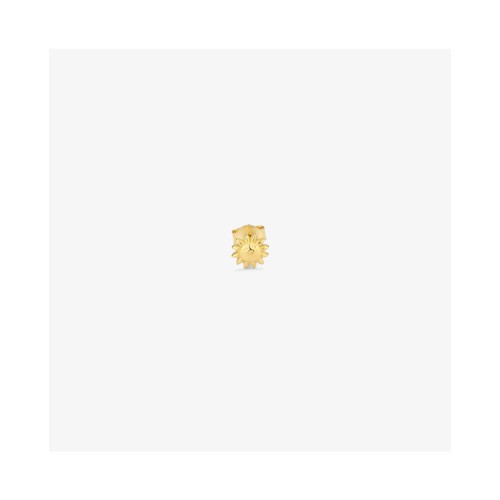 WOMEN EARRINGS RADIANT RY000155 (1CM )