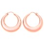 WOMAN EARRINGS ROSEFIELD JBHR-J088 (3 CM )