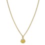 WOMEN NECKLACE ROSEFIELD JPNSCG-J268 (40-45CM )
