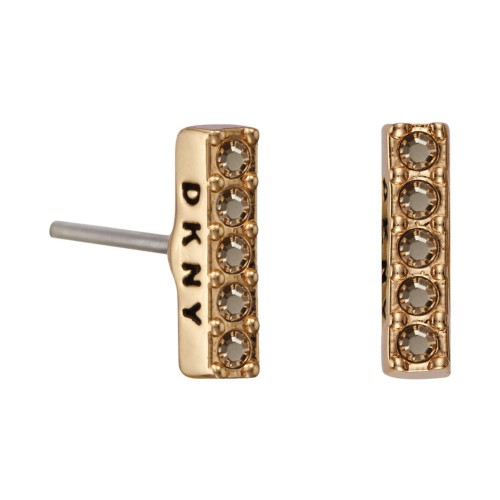 WOMAN EARRINGS DKNY 5520081 (1CM )