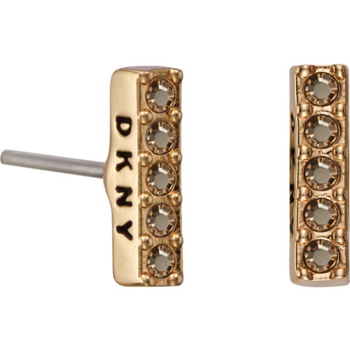 WOMAN EARRINGS DKNY 5520081 (1CM )