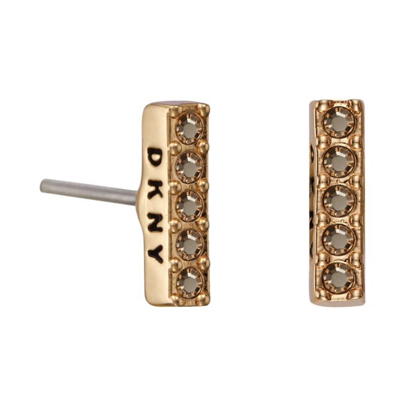 WOMAN EARRINGS DKNY 5520081 (1CM )