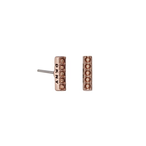 WOMAN EARRINGS DKNY 5520082 (1CM )