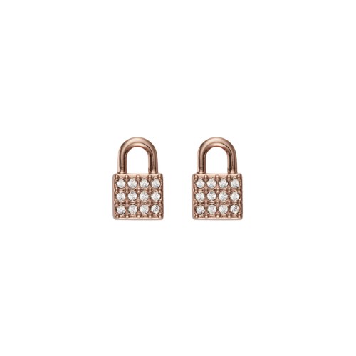 WOMAN EARRINGS DKNY 5520121 (1CM )