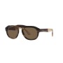 MAN SUNGLASSES GIORGIO ARMANI  AR8173-595873 (Lens/Bridge/Temple) 52/19/145 mm)