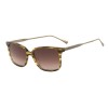 WOMEN SUNGLASSES BELSTAFF  BONINGTONS024 (Lens/Bridge/Temple) 53/16/145 mm)