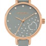 WOMEN WATCH DAISY DIXON  DD083ERG (36MM)