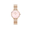 WOMEN WATCH DANIEL WELLINGTON  DW00100617 (28MM)