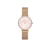 WOMEN WATCH DANIEL WELLINGTON  DW00100663 (28MM)