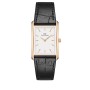 WOMEN WATCH DANIEL WELLINGTON  DW00100698 (35MM)