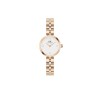 WOMEN WATCH DANIEL WELLINGTON  DW00100717 (22MM)