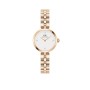WOMEN WATCH DANIEL WELLINGTON  DW00100717 (22MM)