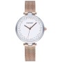 WOMEN WATCH RADIANT  RA543203 (36MM)