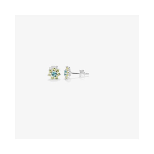WOMEN EARRINGS RADIANT RY000109 (1CM )