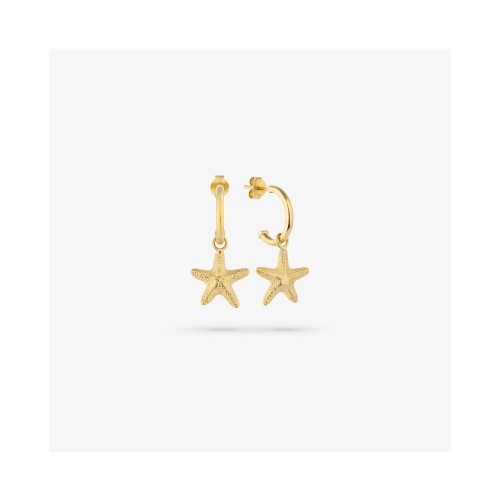 WOMEN EARRINGS RADIANT RY000137 (2CM )