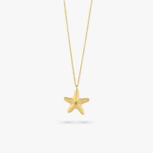 WOMEN NECKLACE RADIANT RY000140 (45CM )