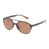 UNISEX SUNGLASSES POLICE  SPL1635594CP (Lens/Bridge/Temple) 55/19/140 mm)