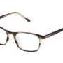WOMAN GLASSES LOEWE  VLW9584906YH (Lens/Bridge/Temple) 49/17/135 mm)